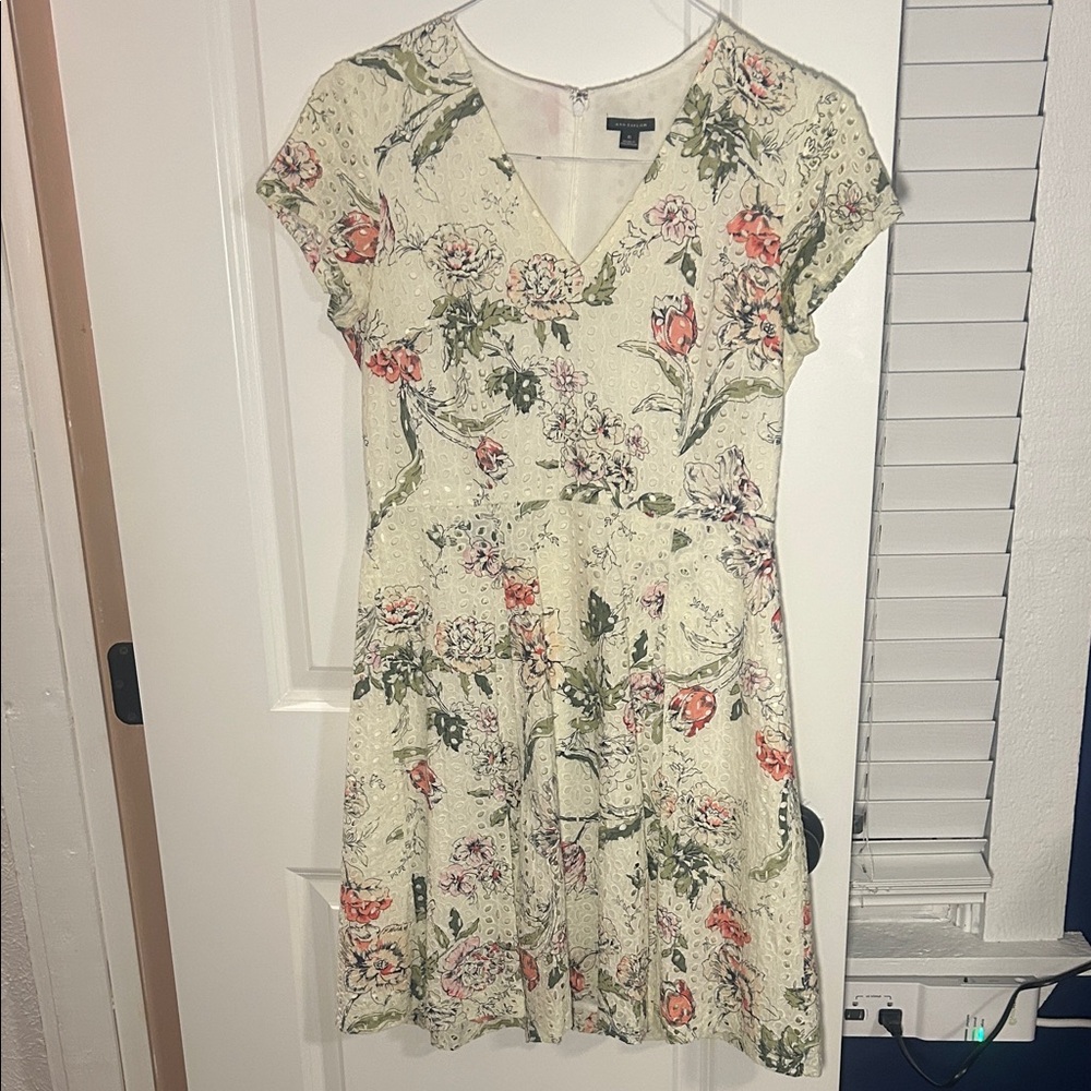 Ann Taylor Ivory Eyelet Dress
